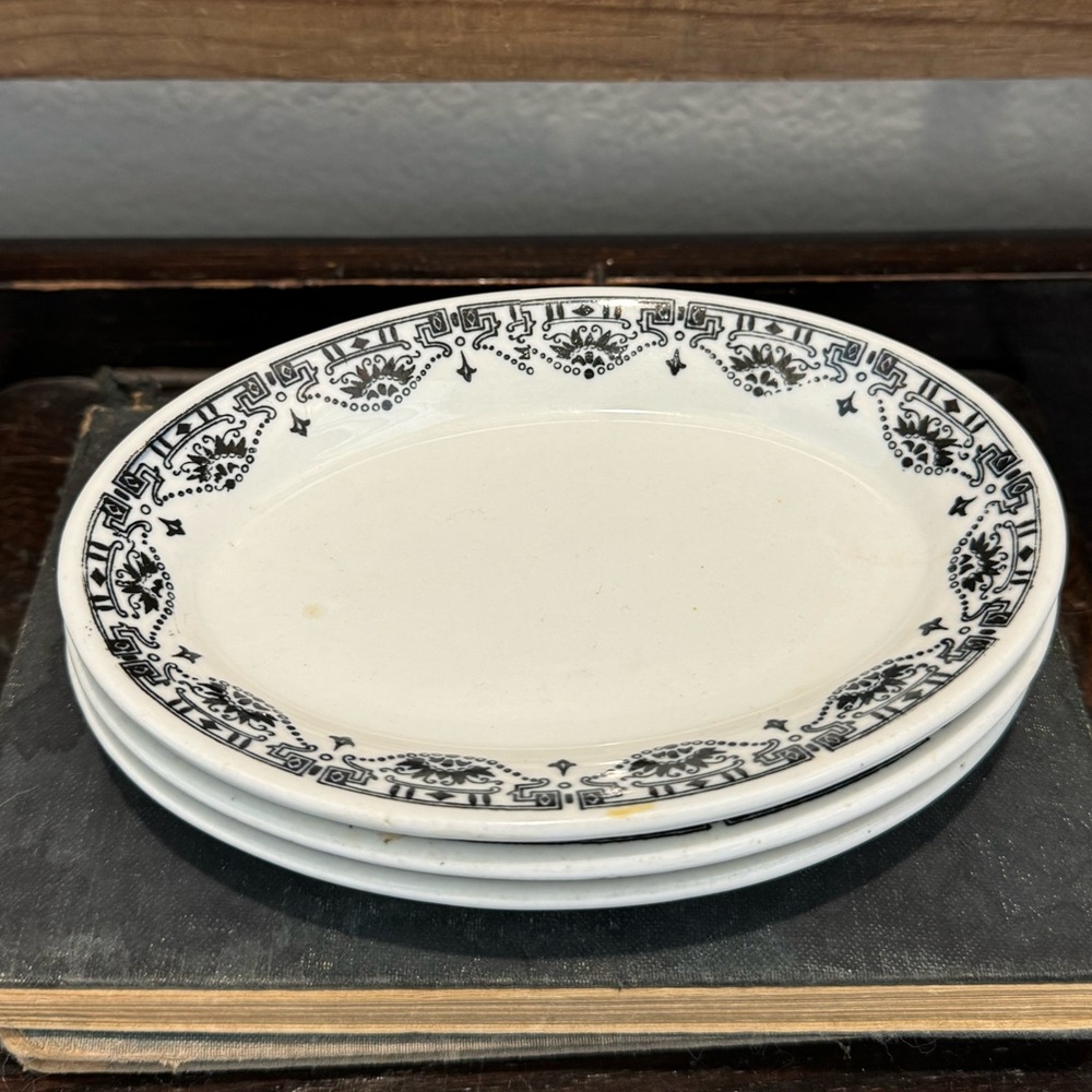 (3) Vintage Warwick China Dakota plates